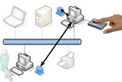 network - no mc